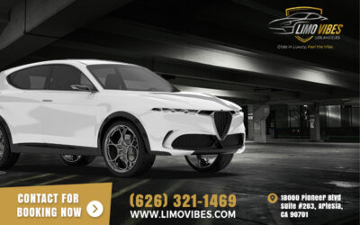 What are the Advantages of Limousine Services?