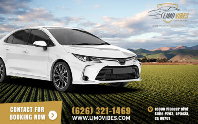 Why Limo Vibes Should Be Your Only Option for California Wine Tours?