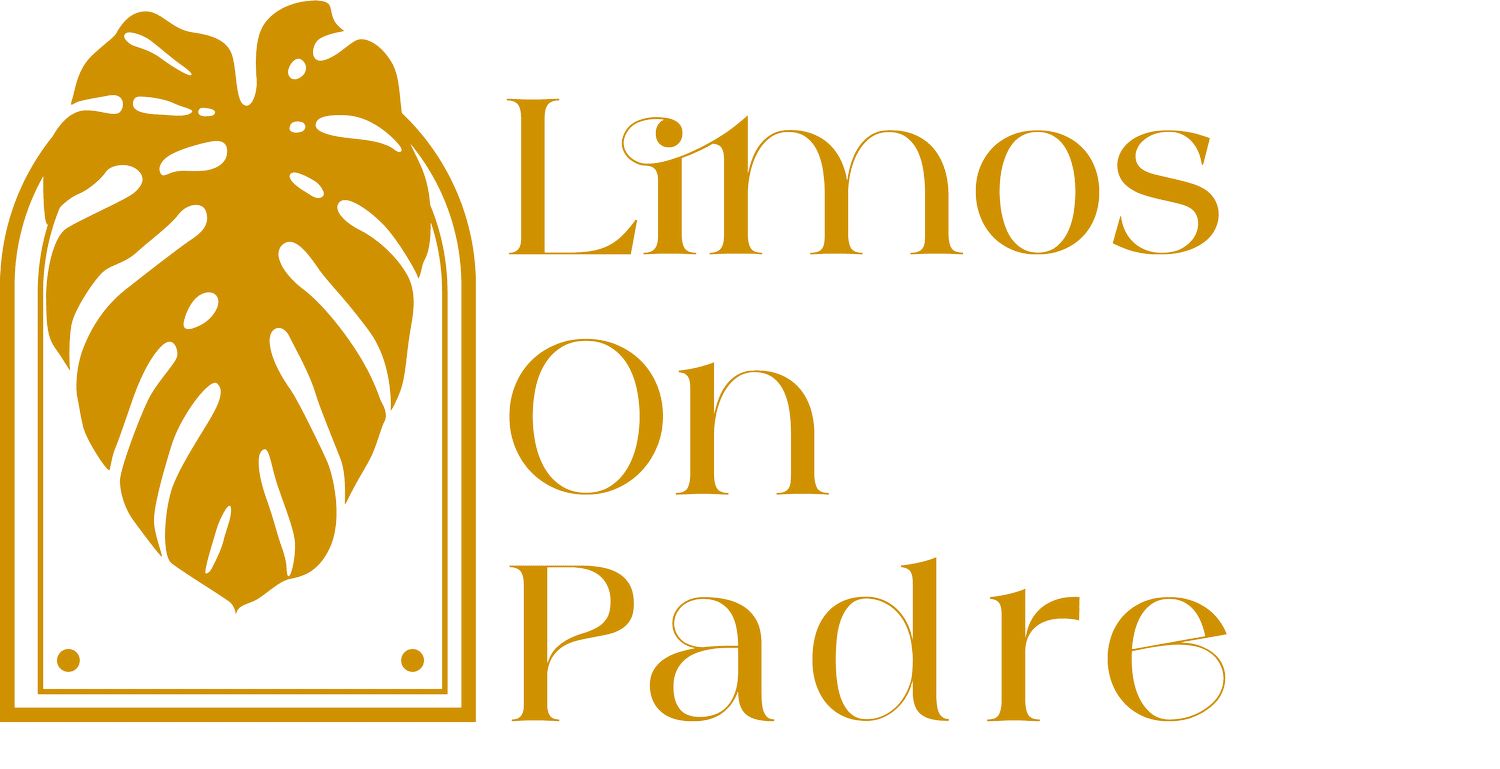 black car service near Brownsville