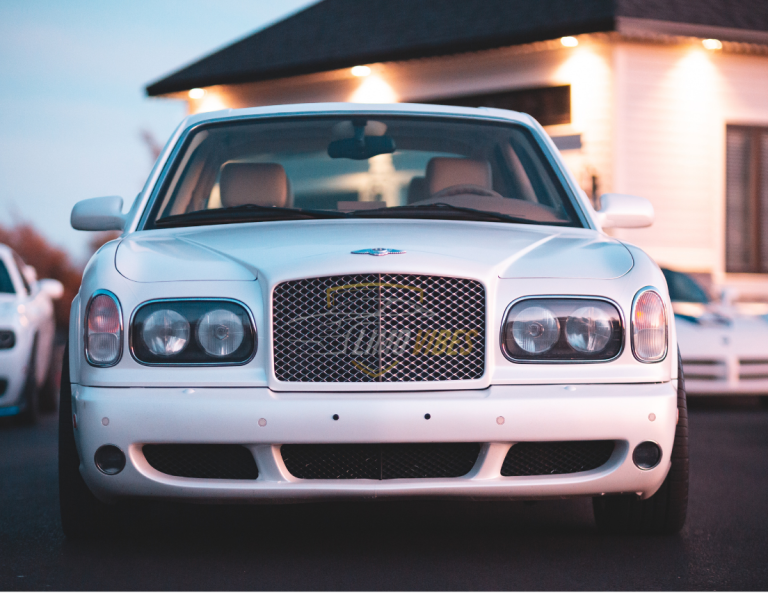 Illustrative general chauffeured transportation for Echo Limousine in Chicago, Cook County, Illinois