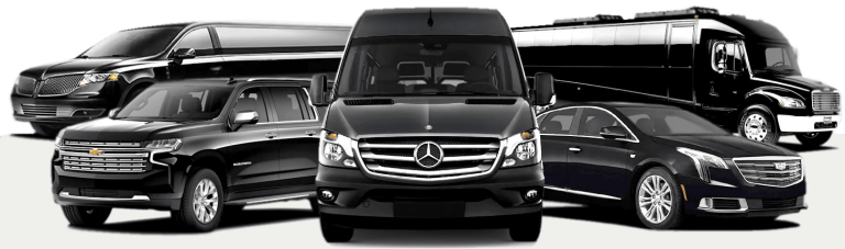 Illustrative stretch limousines for Costa Mesa Limo Service in Costa Mesa, Orange County, California